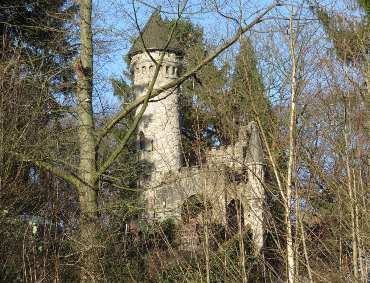 Burg Henneberg
