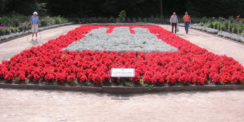 Dahliengarten