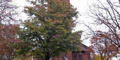 Emmauskirche (Süd)