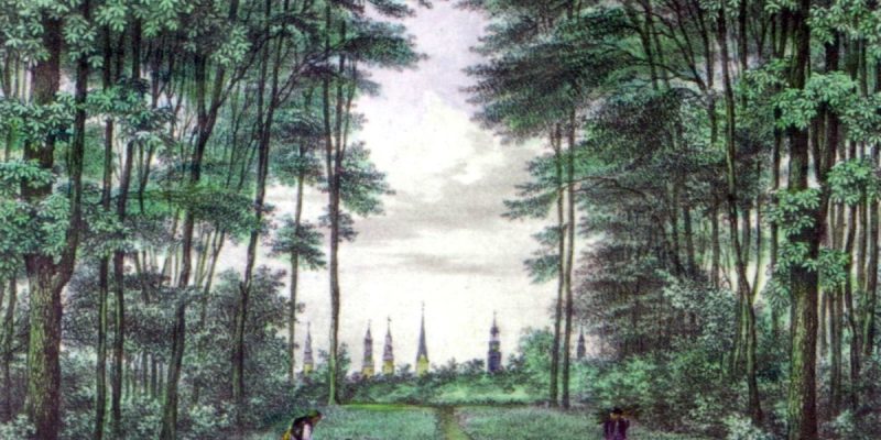 Erstes Wandsbeker Gehölz