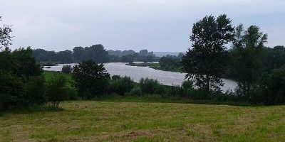 Finkenwerder Süderelbe