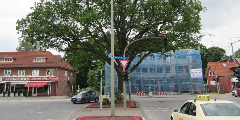 Friedenseiche
