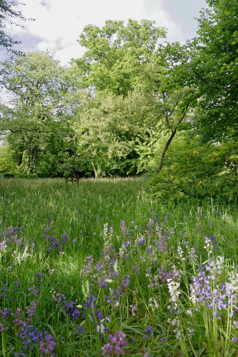 Garten Alma de l'Aigle