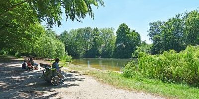 Greifenbergpark