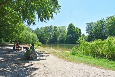 Greifenbergpark