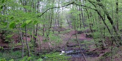Hainesch-Iland