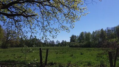 Hansdorfer Brook