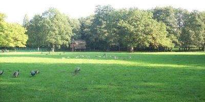 Hirschpark