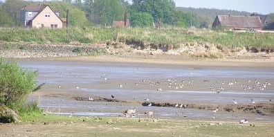 Holzhafen