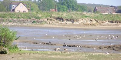 Holzhafen