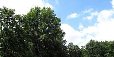 Parks in Hamburg