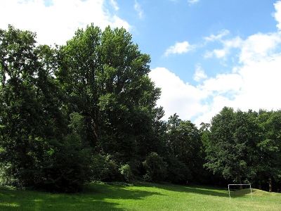 Horner Park