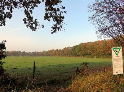 Hummelsbütteler Moore