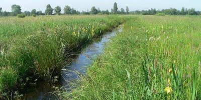 Kirchwerder Wiesen