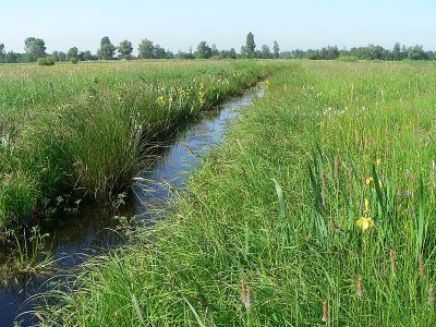 Kirchwerder Wiesen