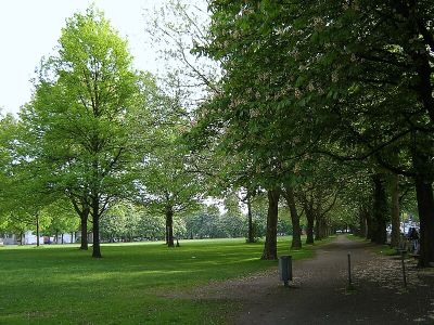 Kleine Moorweide