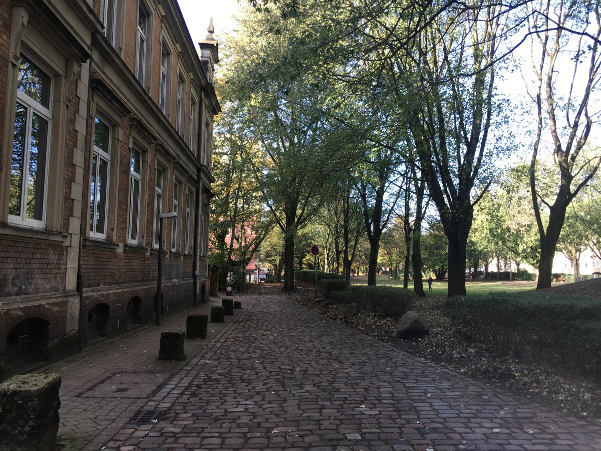Lohmühlenpark
