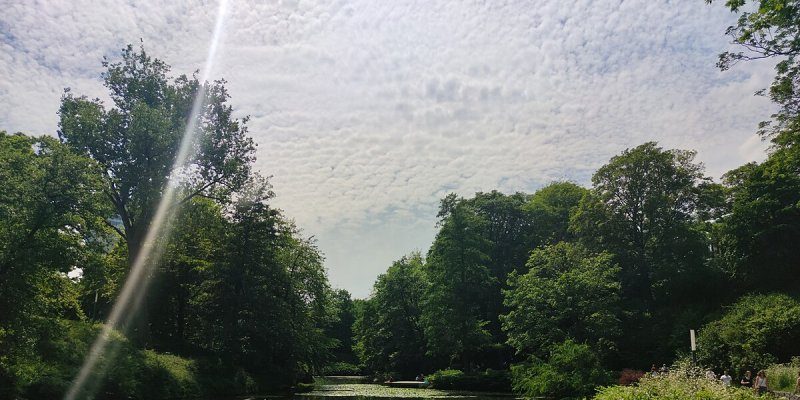 Mittelmeerterrassen