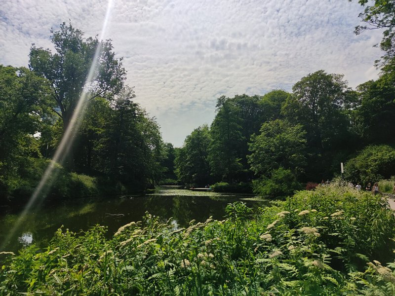 Mittelmeerterrassen