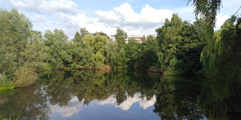 Park am Ziegelteich