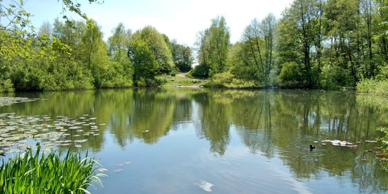 Park Bahrenfelder See