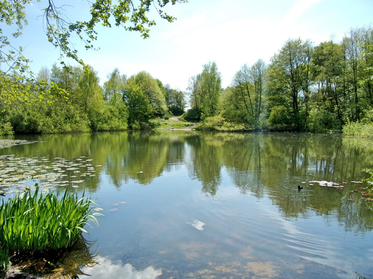Park Bahrenfelder See