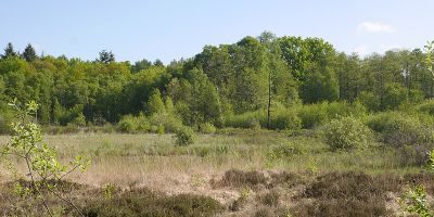 Raakmoor