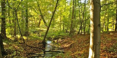 Rodenbeker Quellental