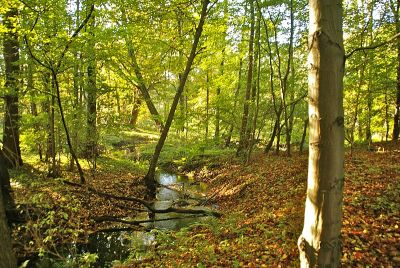 Rodenbeker Quellental