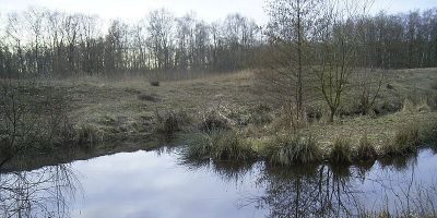 Rothsteinsmoor