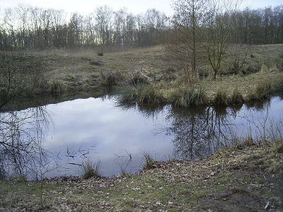 Rothsteinsmoor