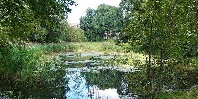 Schleidenpark