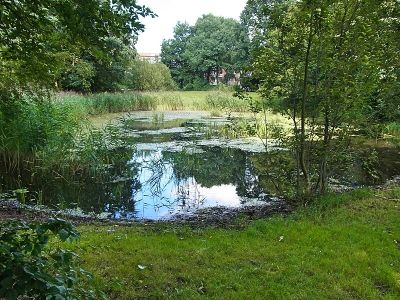 Schleidenpark