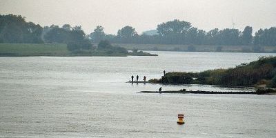Tideelbe von Rönne bis Bunthäuser Spitze