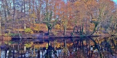 Wesselhoeftpark