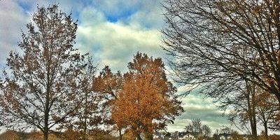 Westerpark