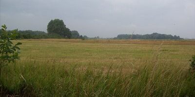 Westerweiden