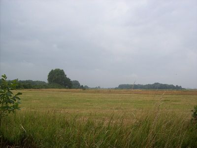 Westerweiden