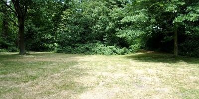 Wilhelmsburger Rathauspark