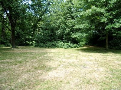 Wilhelmsburger Rathauspark