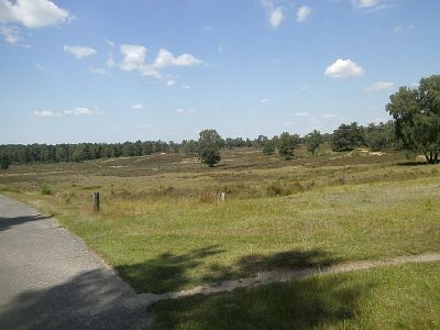Wulmstorfer Heide mit Bornberg