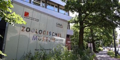 Zoologisches Museum