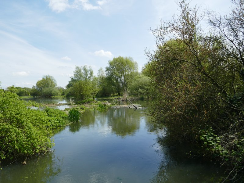 Ahse bei Dinker