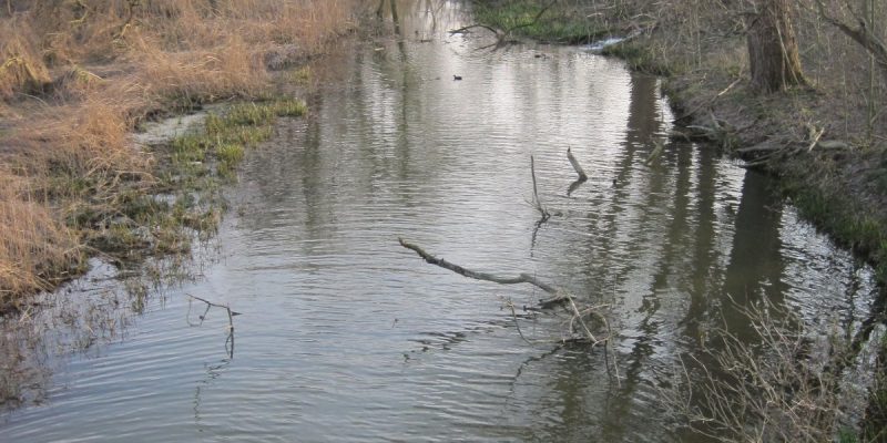 Alte Lippe und Ehemaliger Radbodsee