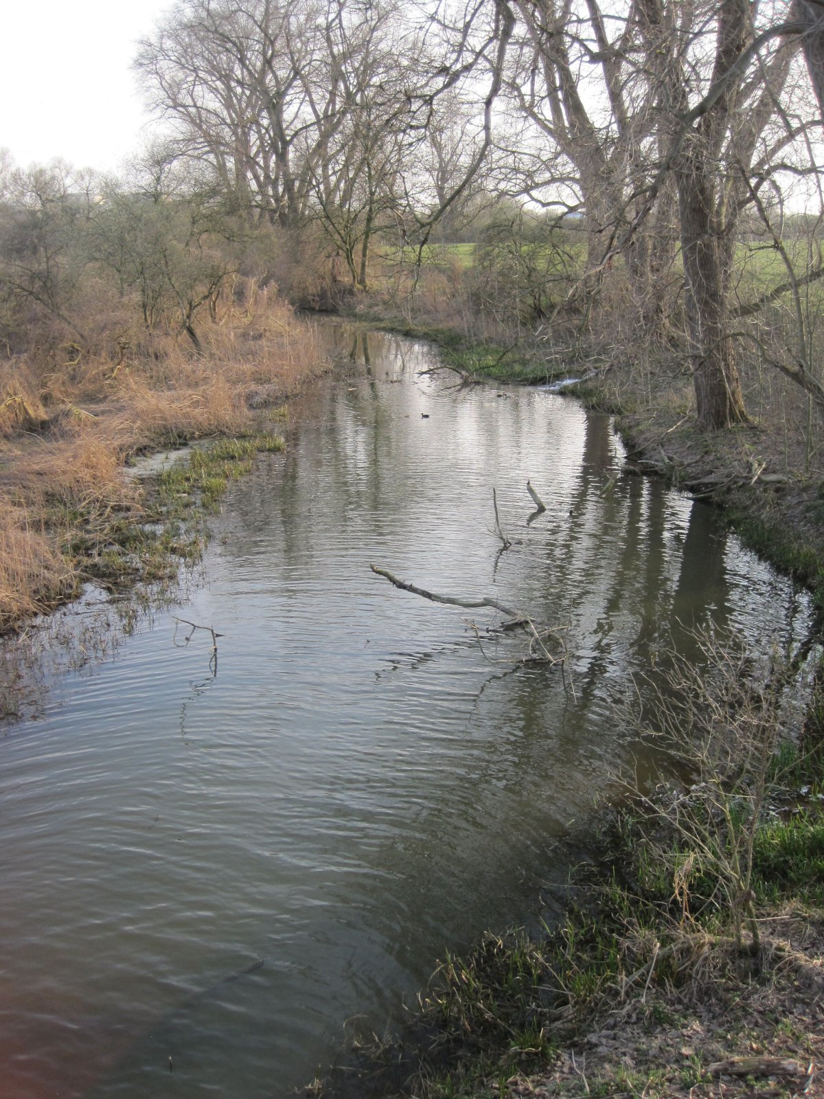 Alte Lippe und Ehemaliger Radbodsee