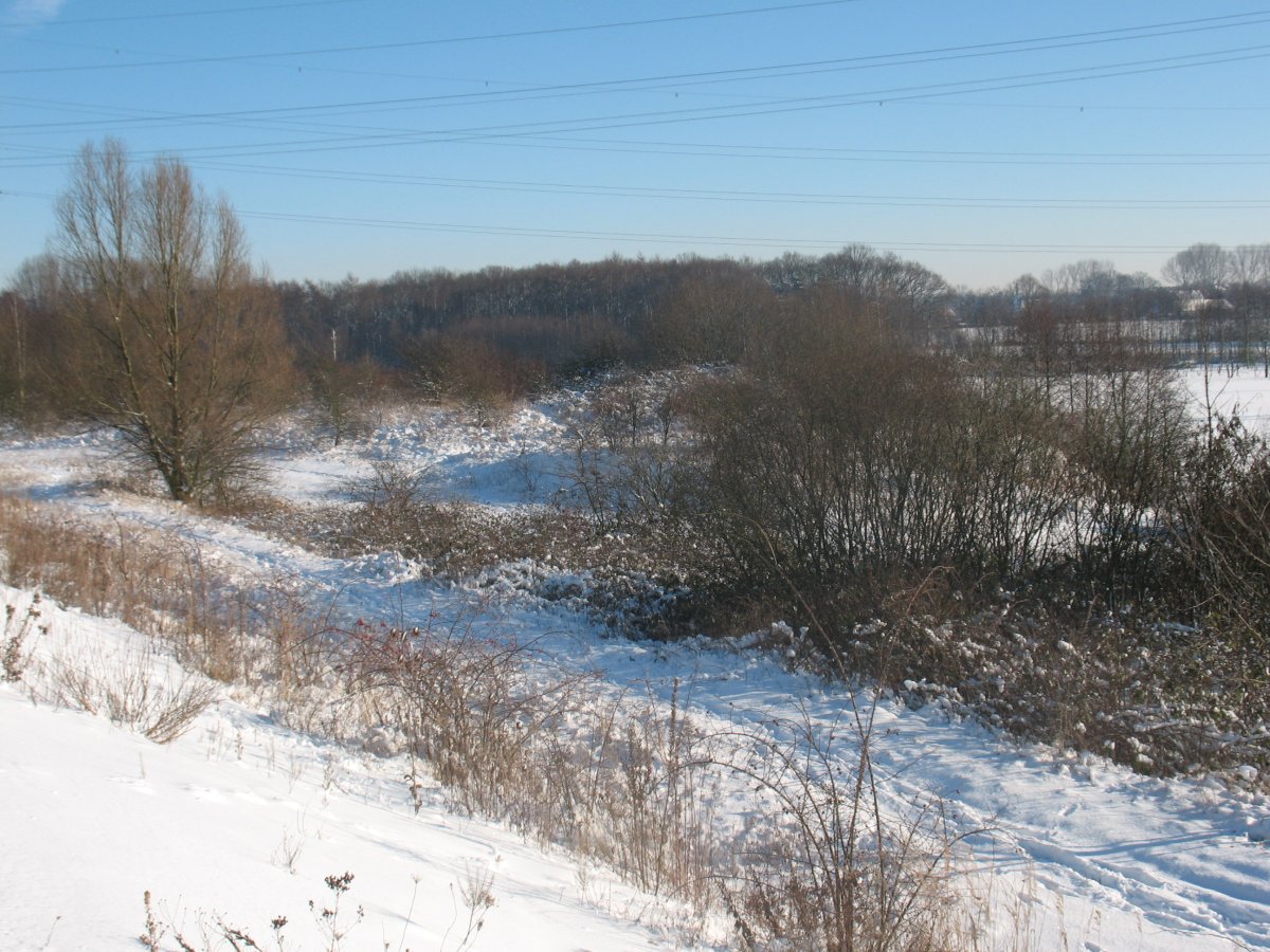 Brauck und Eckernkamp