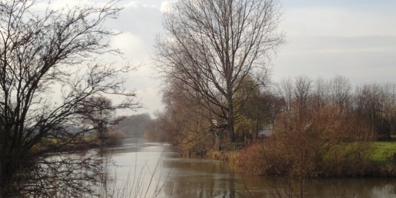 Mühlenlaar