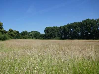 Munnebach