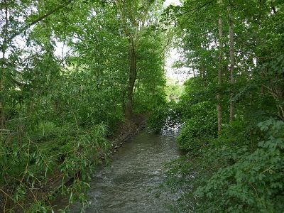 Salzbach-Mittellauf mit Bewerbach