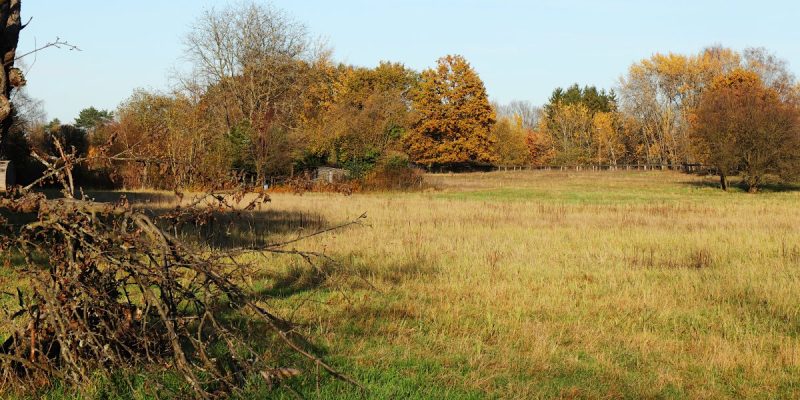 Amerikafeld und Schindkaute bei Steinheim
